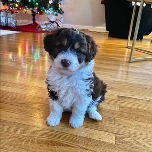 Meet your Posher, Margaret